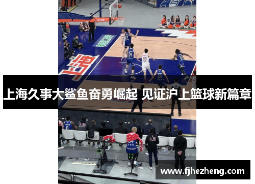 上海久事大鲨鱼奋勇崛起 见证沪上篮球新篇章